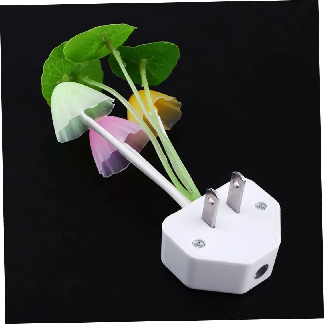 VEILLEUSE PRISE | Fungi Light™ - nanoukid