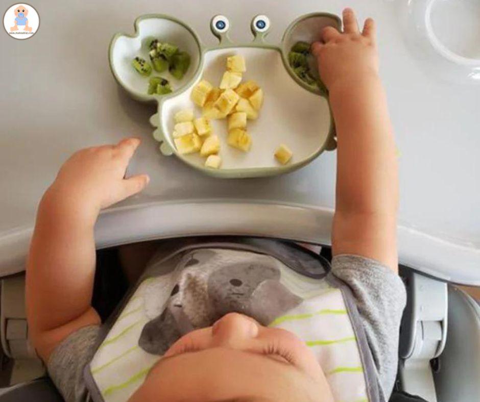 Bébé mangeant des fruits dans une assiette compartimentée en forme de crabe sur chaise haute