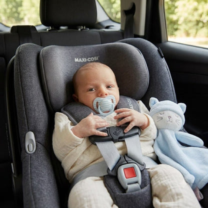 doudou chat bebe calme dans la voiture