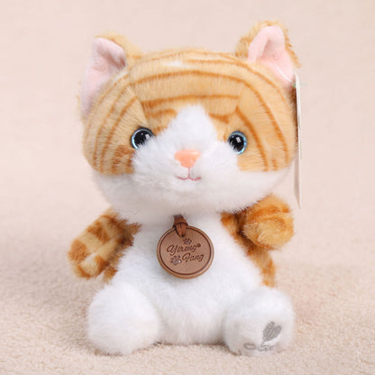 peluche chat caramel yeux bleux